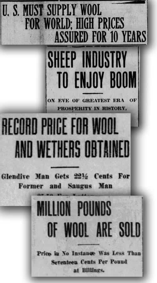 Wool Business Headlines