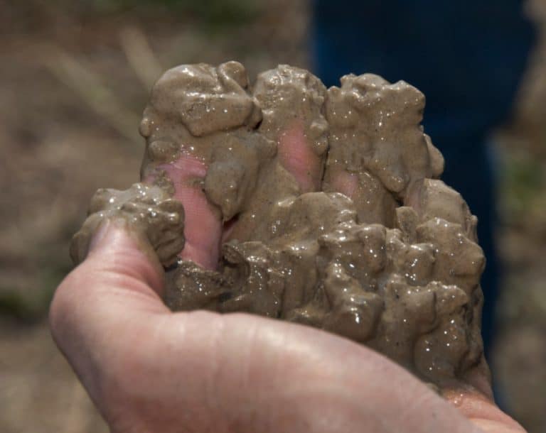 Bentonite in Hand