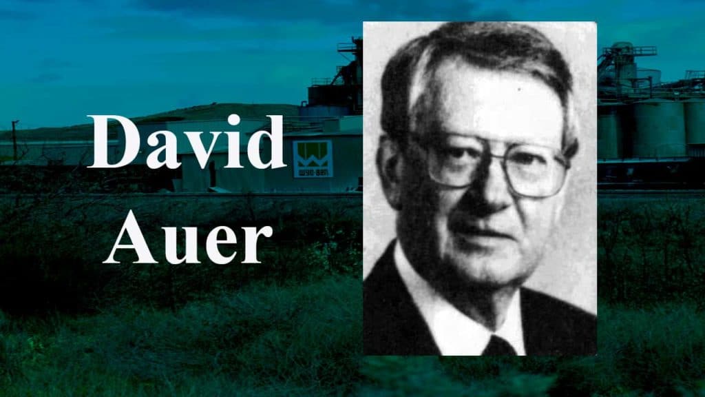 David Auer